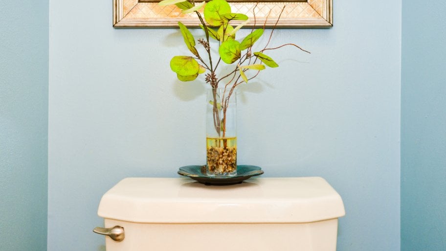 Decorative plant on toilet tank Decorative plant on toilet tank